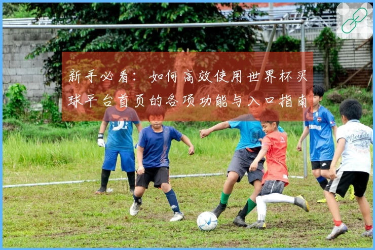 新手必看：如何高效使用世界杯买球平台首页的各项功能与入口指南