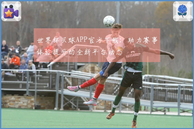 世界杯买球APP官方下载：助力赛事体验提升的全新平台动态