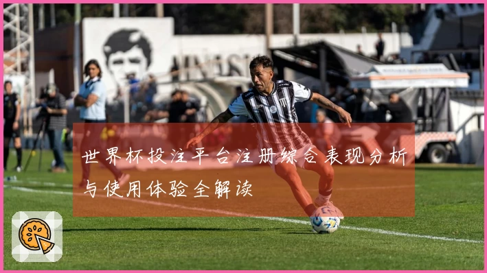 世界杯投注平台注册综合表现分析与使用体验全解读